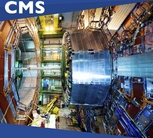 CMS