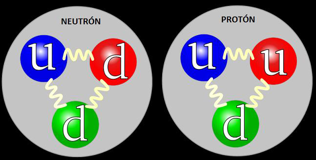 Estructura neutrn y protn